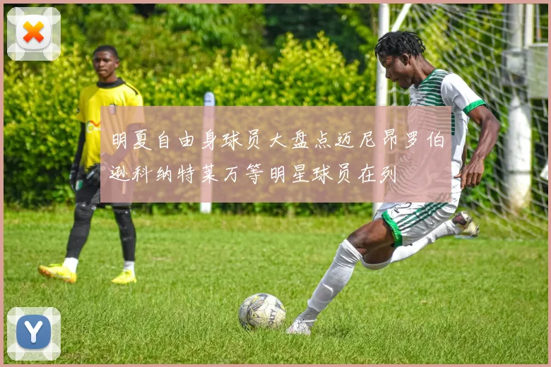 明夏自由身球员大盘点迈尼昂罗伯逊科纳特莱万等明星球员在列