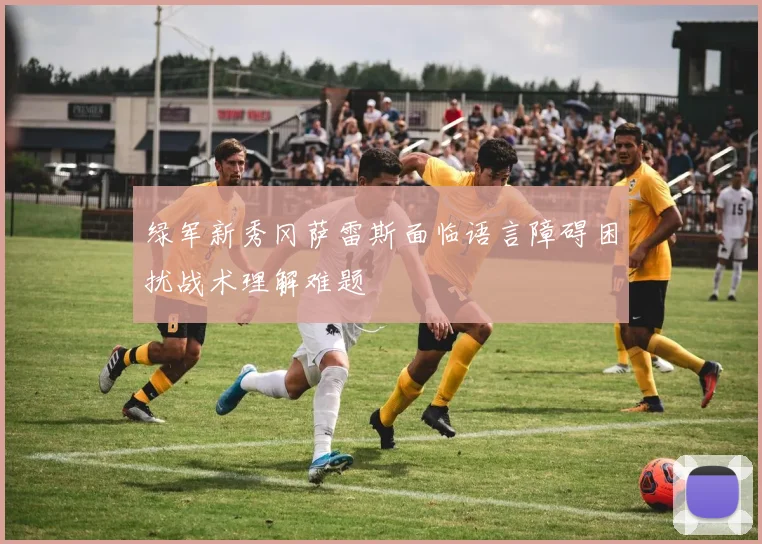 绿军新秀冈萨雷斯面临语言障碍困扰战术理解难题