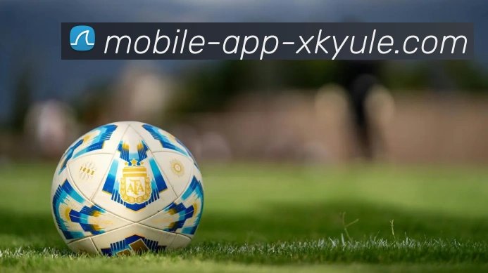 星空体育平台生态图