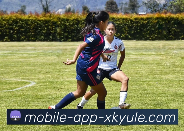 星空体育APP 封面图