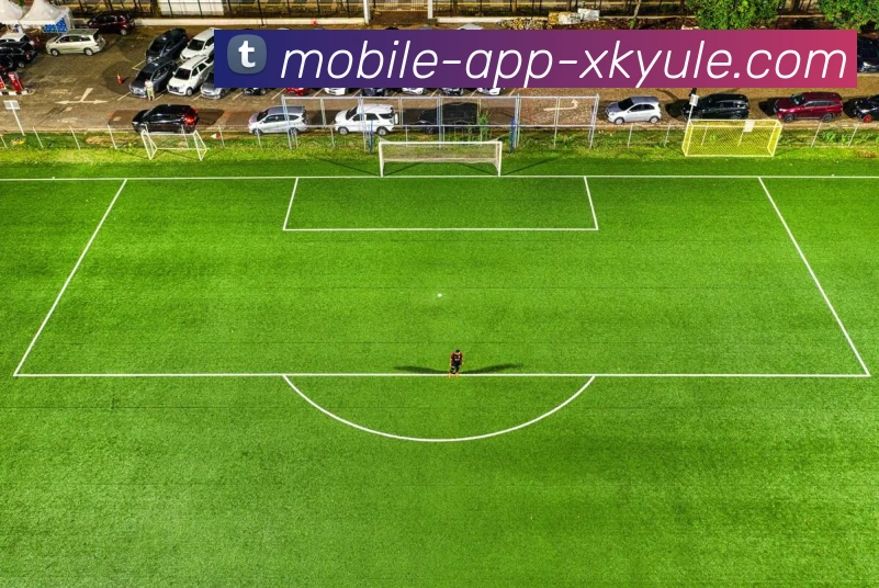 数据防护可视化